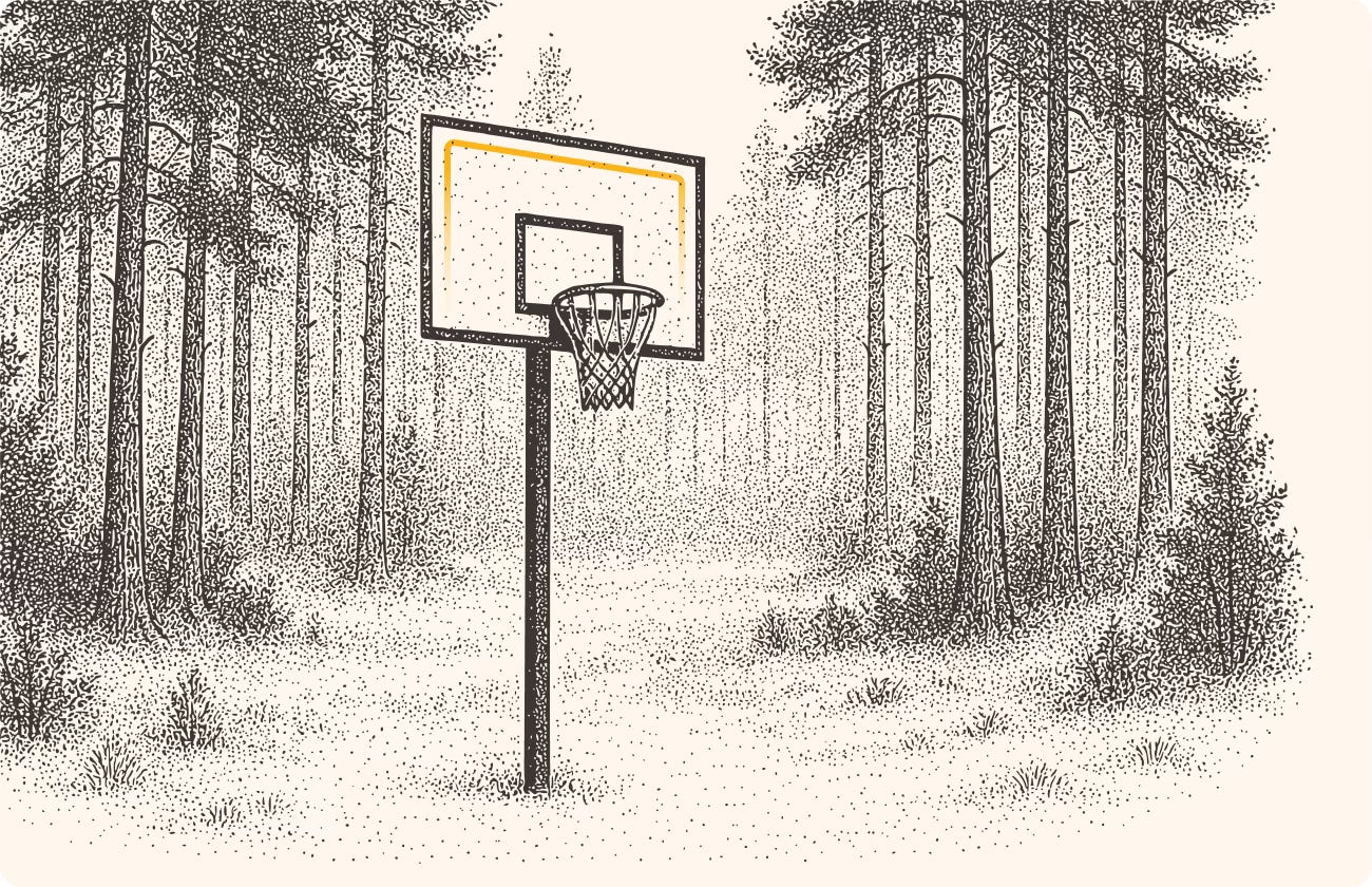 An illustration of a basketball hoop in the woods, because why not?