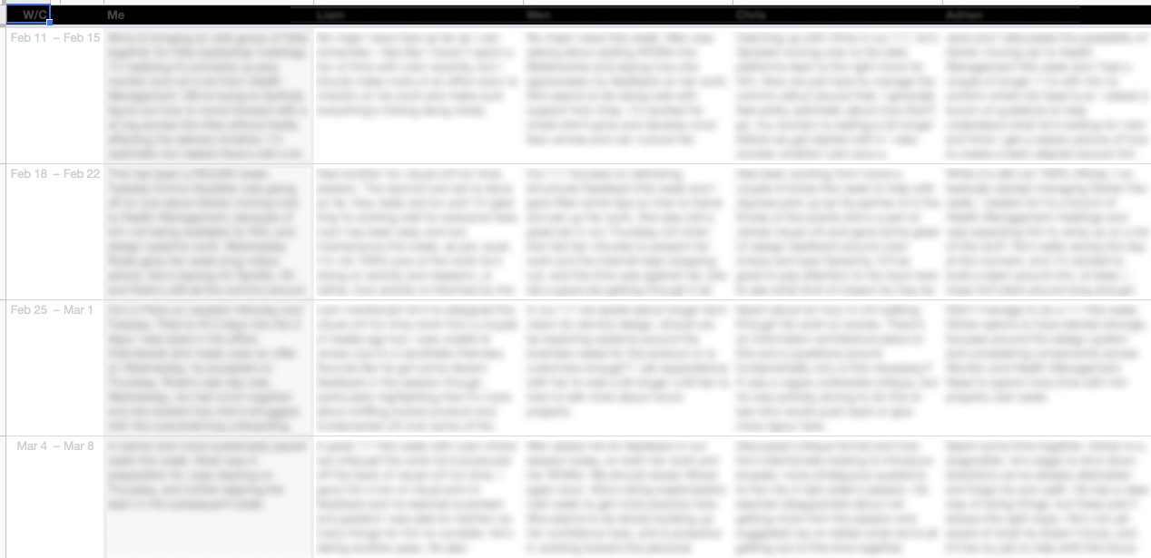 The second version of the spreadsheet: a column per direct report with a short written note for each week, all text blurred